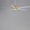 Maxim Lighting Daisy 60'' 5-Blade Fan w LED Light Kit, Natural Aged Brass 88826WTNAB - alternate 2